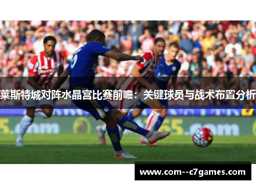 莱斯特城对阵水晶宫比赛前瞻:关键球员与战术布置分析 莱斯特城对阵水晶宫比赛前瞻:关键球员与战术布置分析